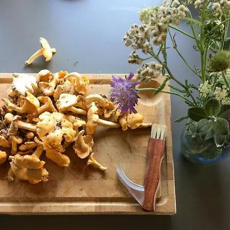 Ferienhaus Simple Living In The 70s Summer House At Skiveren Ålbæk