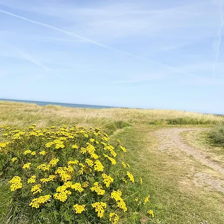 Simple Living In The 70s Summer House At Skiveren Ferienhaus *